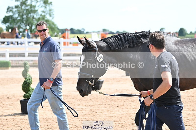 240717A-151437-02673 - Trot Up 3pm to 4pm