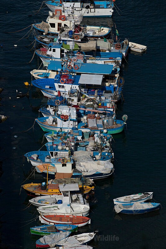 471A2809, Sorentto, Italy - LIGHTENING IMAGES, BAY OF NAPLES, ITALY