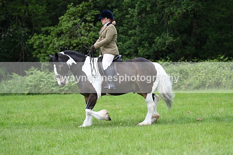 WJ7_2336 - Class 12A Coloured Class