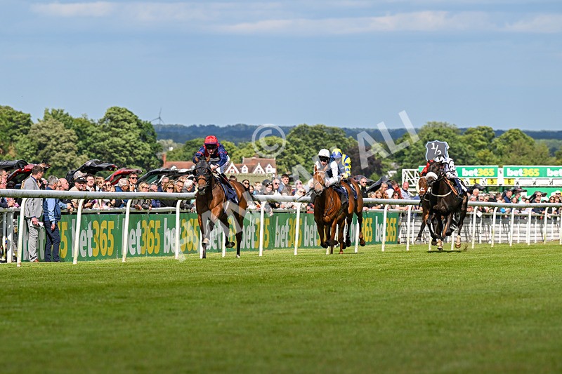 080624-Race 6-Walter Hartright-1670 - Race 6