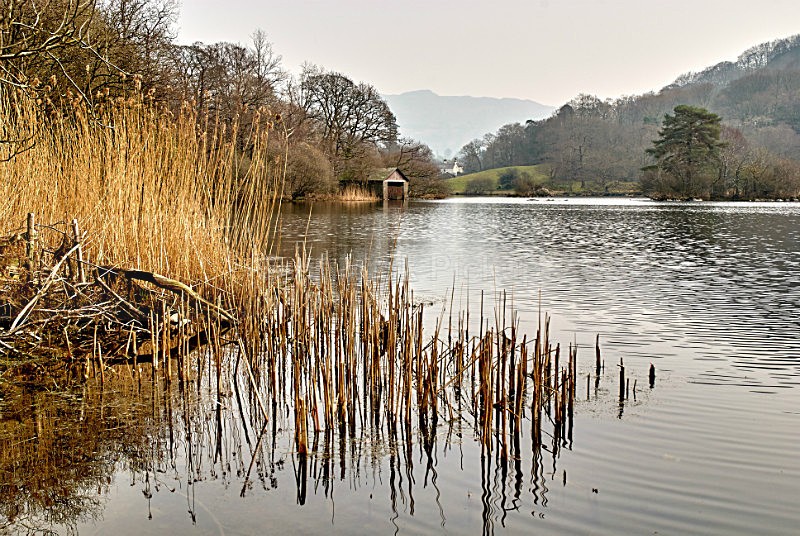Rydal Water - Lake District Landscapes