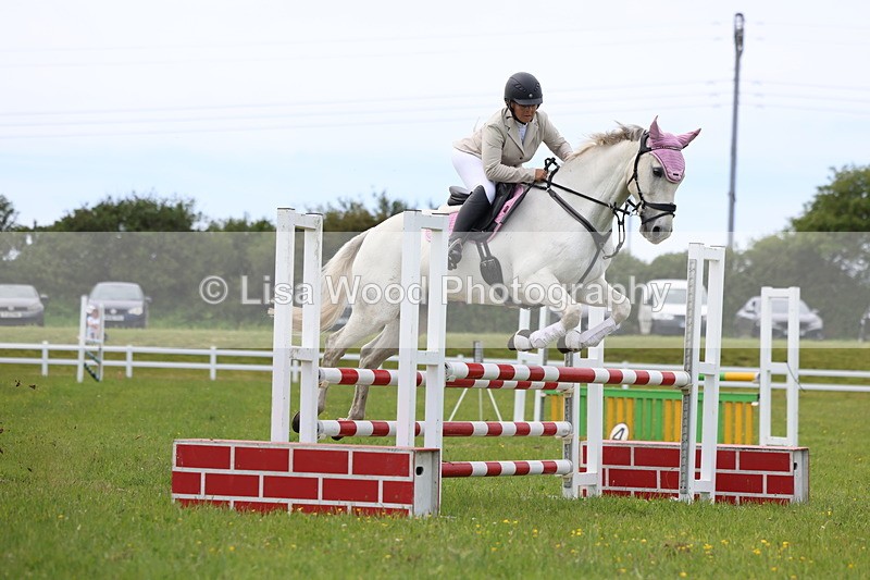 3E7A1752 - Class 13: Senior British Novice/90cm open