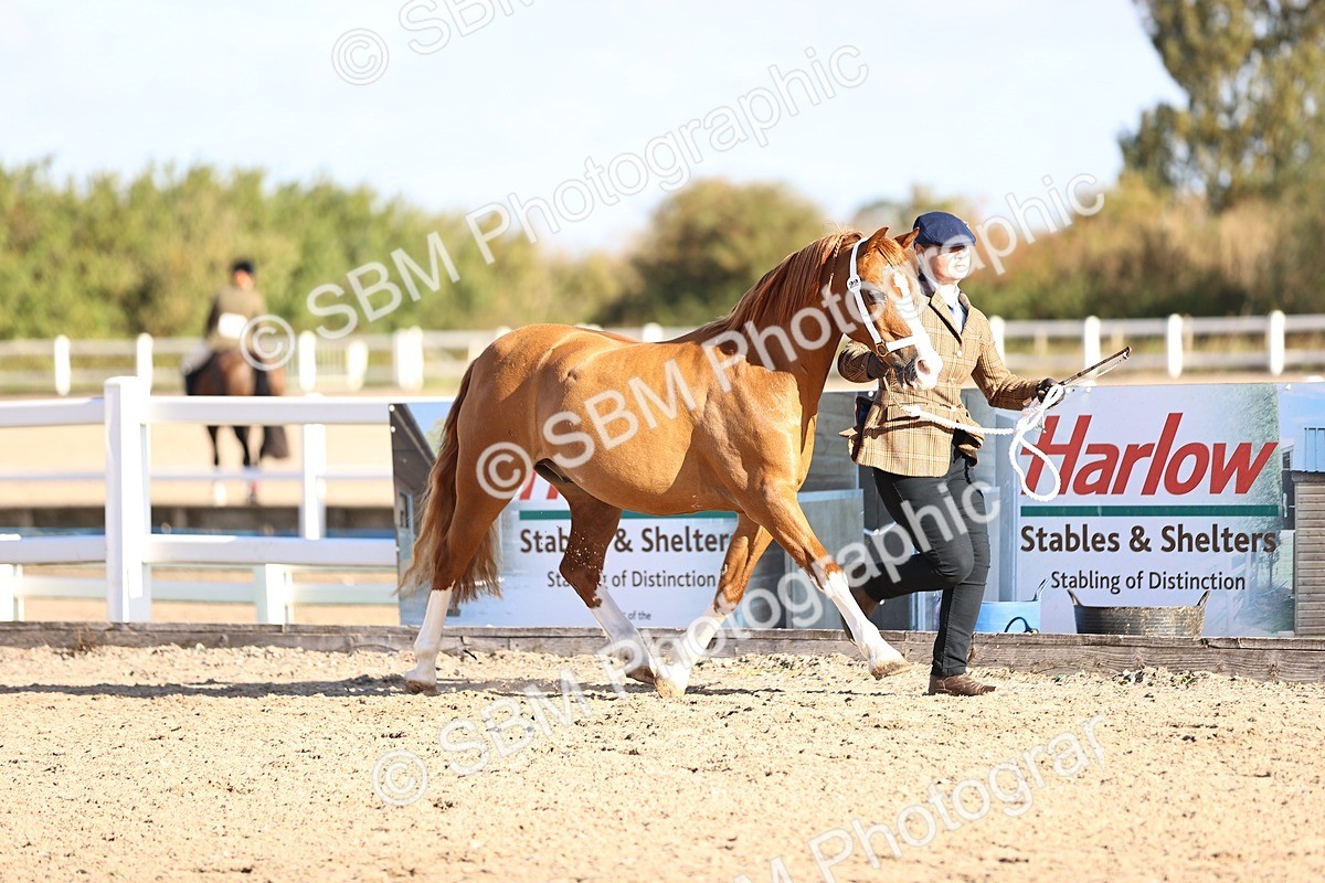 SBM_08437 - Class 402 - IH Veteran Pony