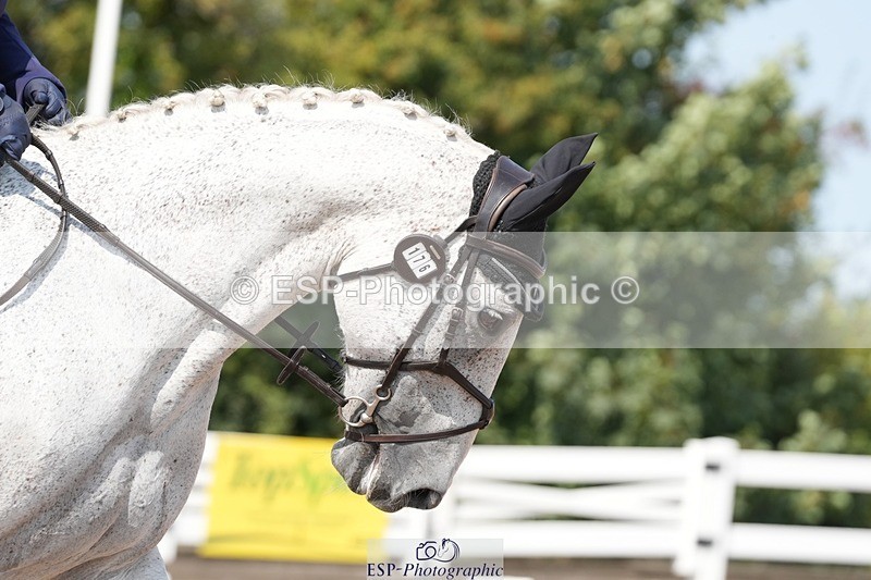 250817-121258-09268 - 176-Sarah.ChandlerVardags.Silmarillia