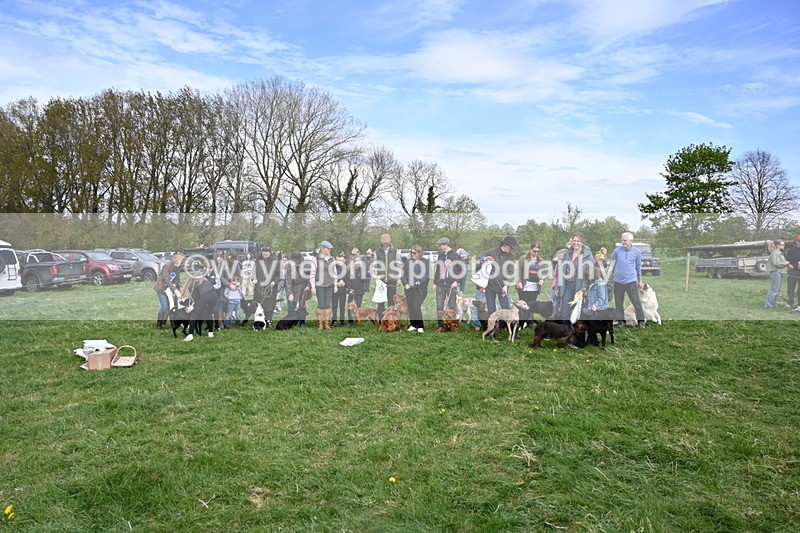 WJ6_9158 - Class 8 Best Working / Gun Dog or Bitch