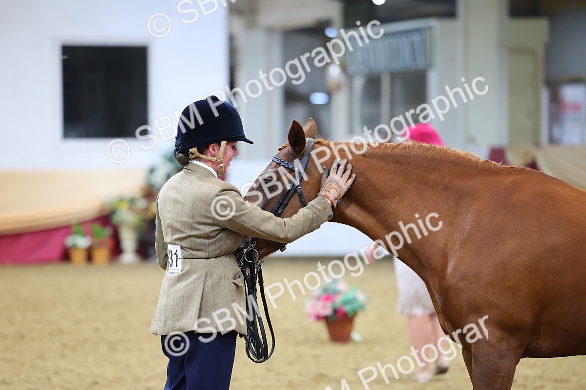 SBM_19458 - Class 901 - Supreme Final - IH Diamond