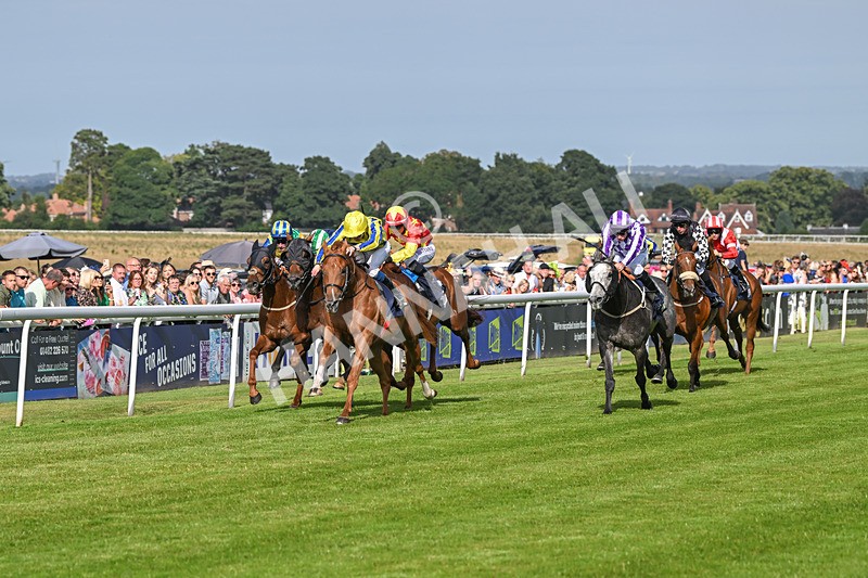 140824-Race 6-Glistening Nights-6857 - Race 6