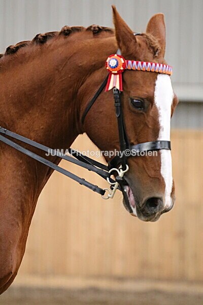 SIAL2814 - Sunday 14th Ridden