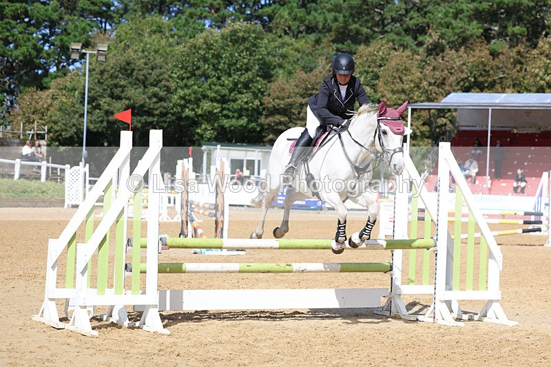 3E7A9402 - Class 9: Senior British Novice/90cm open