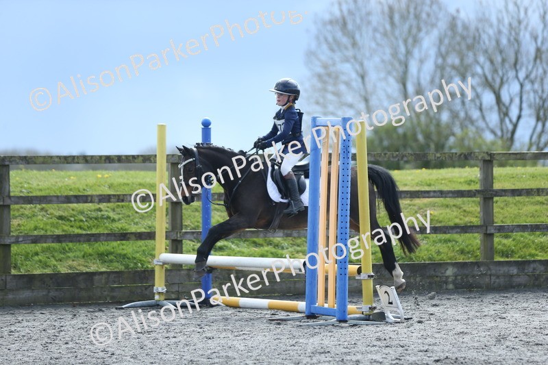 20260412-1801 - Show Jumping