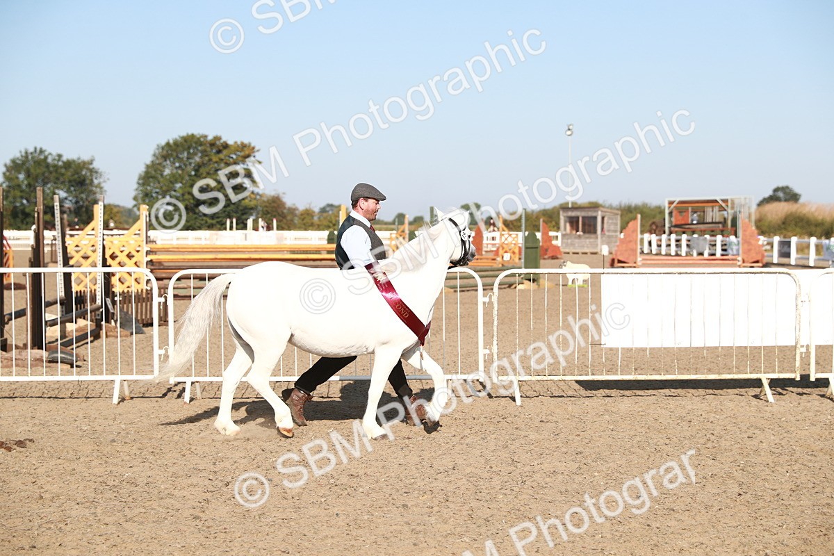 SBM_00164 - Class 40 Best Turned Out IH