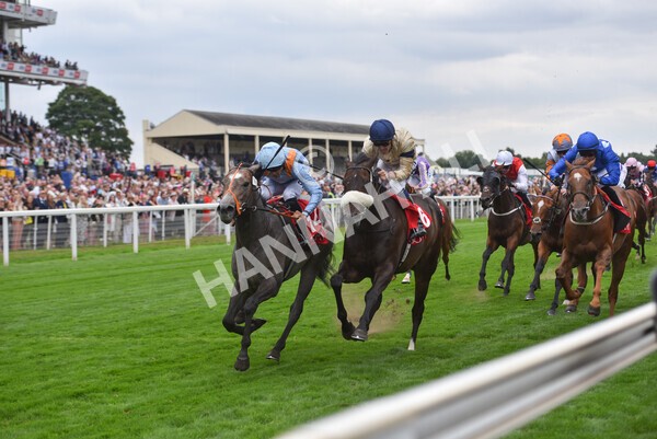 yr18082022r2-50 - Race 2 2.25pm Goffs UK Harry Beeby Premier Yearling Stakes