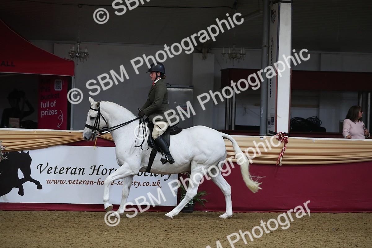 SBM_10438 - Class 102 Equitation (best rider) Adult