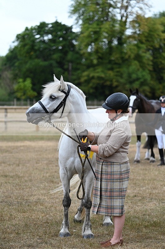 WJ7_9278 - Class 4a Prettiest Mare 14.2hh and over