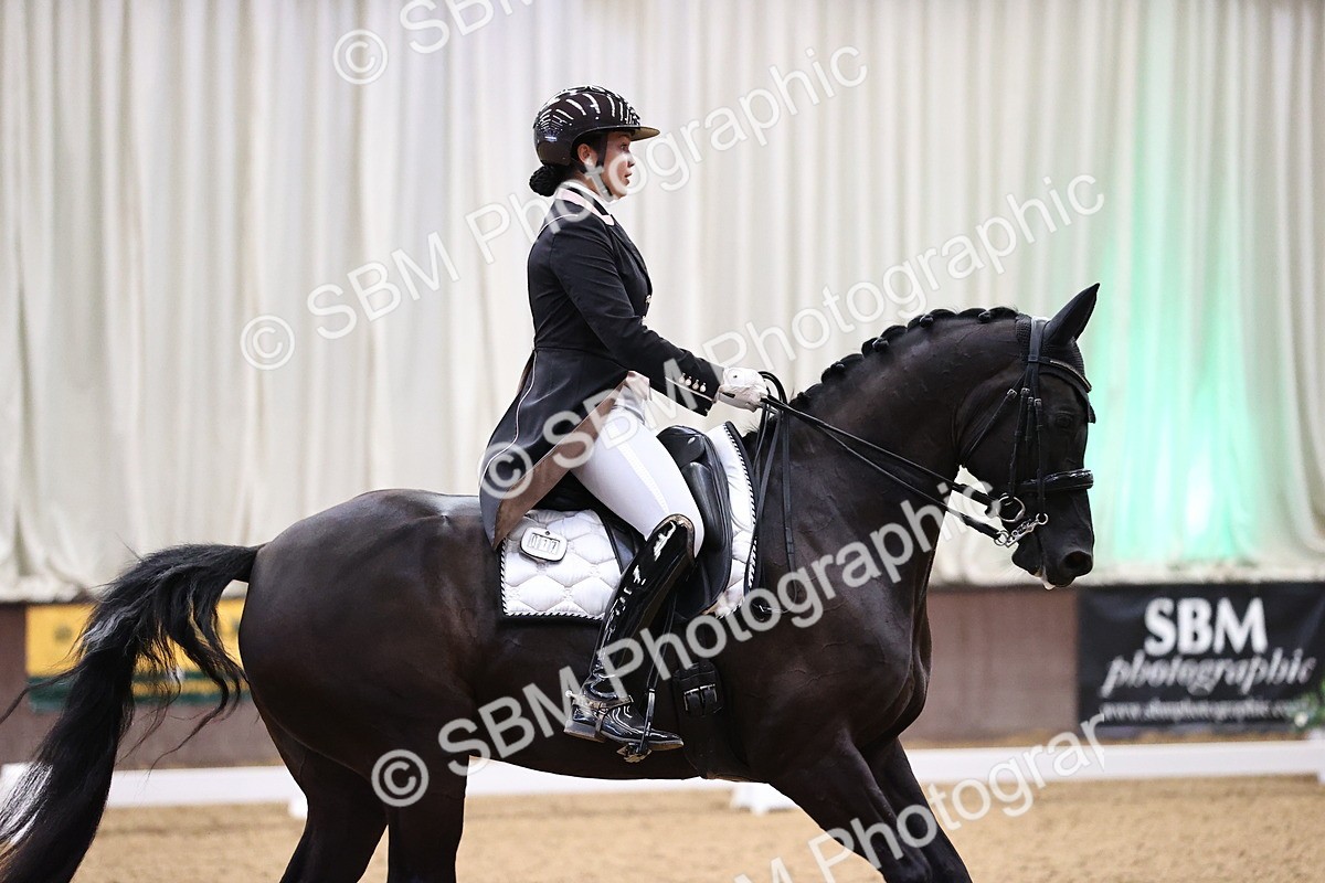 SBM_008933