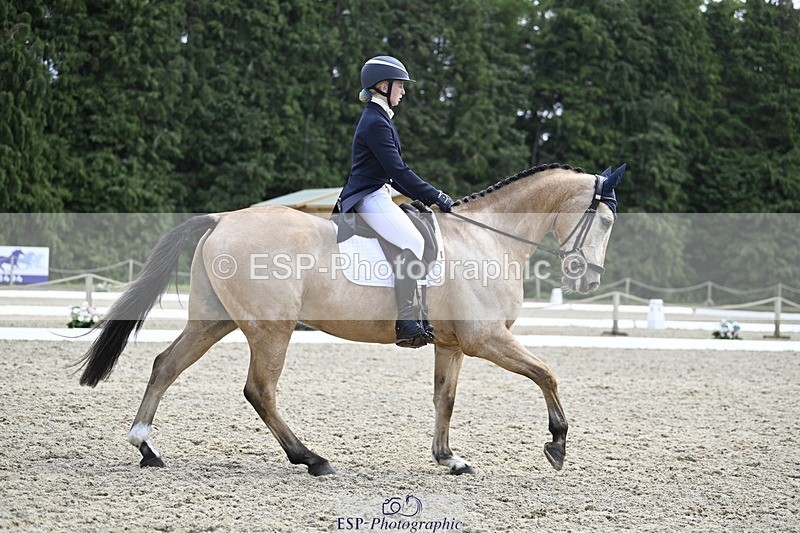 240523-133338-04819 - 109-MJM_BOBBY_DAZZLER-Rosie_Ringer