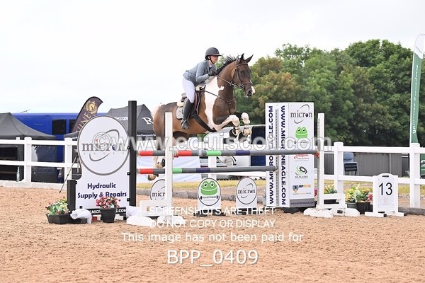 BPP_0409 - CLASS 27 SUN 6 Year Old Non Qualifier