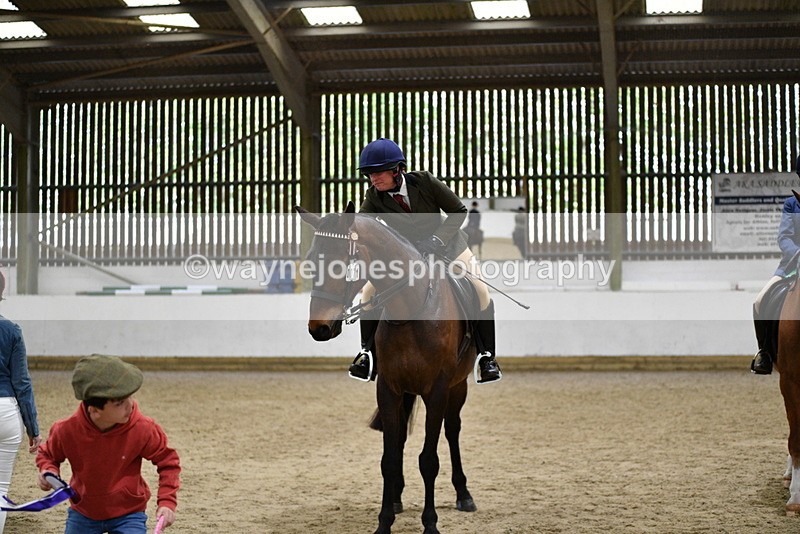 WJ5_8074 - Class 13 Ridden Part Breed