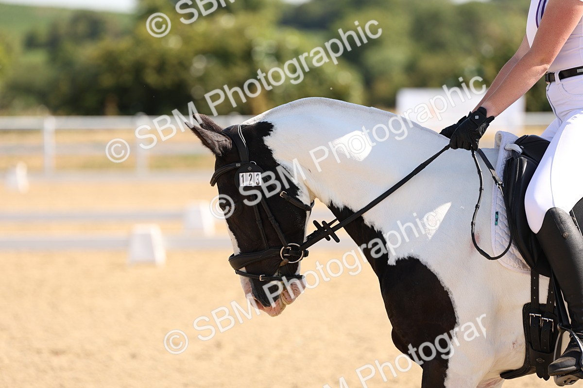 SBM_001001 - Intro 2