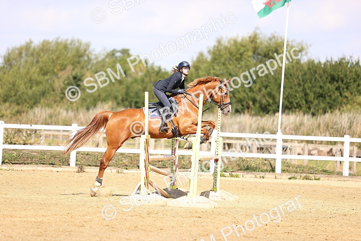 SBM_005837 - Class 9 - Senior British Novice - 90cm