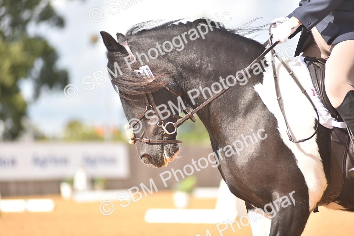 SBM_22491 - D13 - Grand Tour Championship Prelim 3