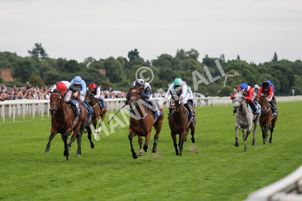 yr19082021r6-9 - Race 6 4.45pm British EBF & Sir Henry Cecil Galtres Stakes