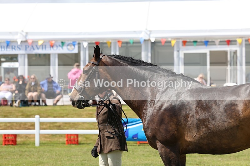 3E7A1731 - Class 9: Open Hunter