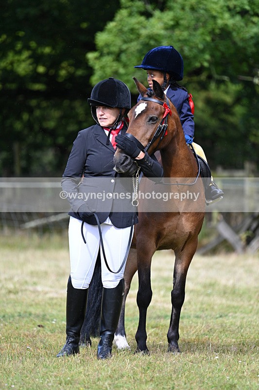 WJ7_4507 - Class 1 Lead Rein Pony