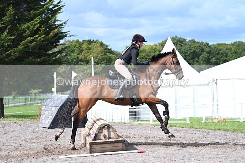 WJ7_0439 - Time 11:36 to 12:00