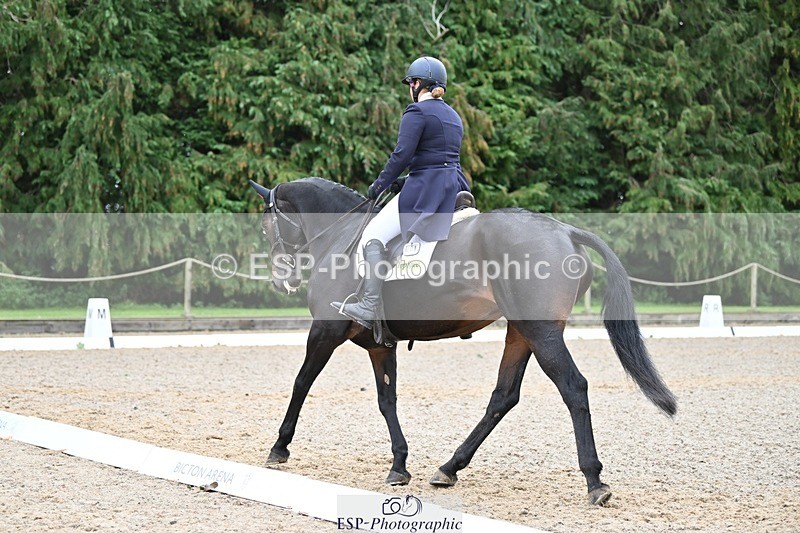 231019-130532-03281 - 121-KNOCKADERRY.MISTY.BAT-Harriet.Dickin-DR