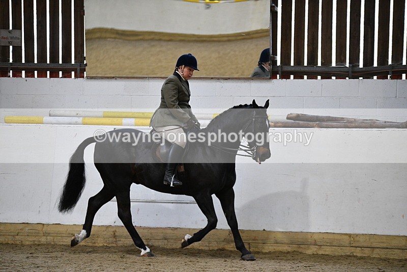 WJ5_6109 - Class 9 Ridden Veteran