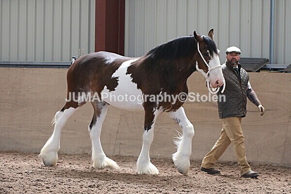 SIAL0287 - Indoor Classes