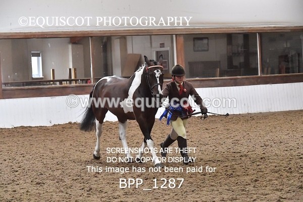 BPP_1287 - RING 2