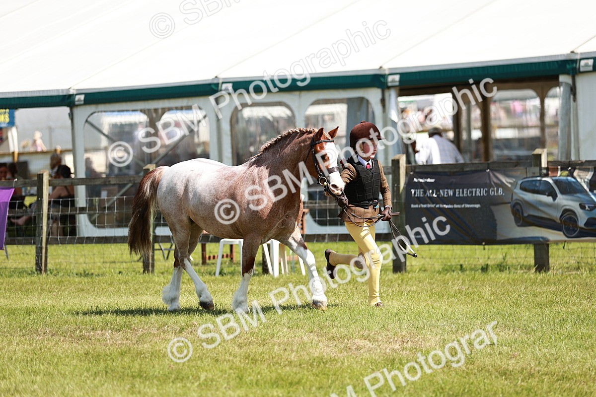 SBM_13531 - Class 108-109 - BSPS LIHS Open Gradle & Nursery Stakes