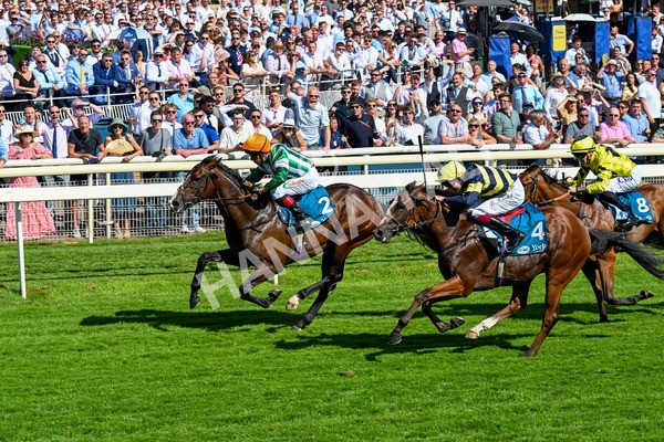 120725-Race 5-Amazing Journey-0429 - Race 5 4.15pm John Smith's Nursery Handicap