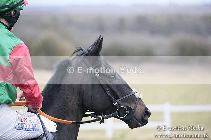 PtP 180218 718 - Combined Services Point-to-Point Larkhill 18/02/18
