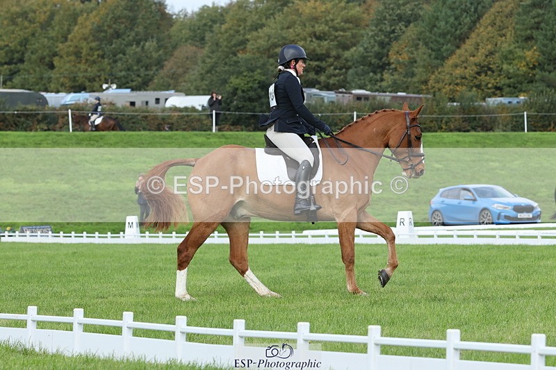 251023A-104958-03239 - D-310-Emily.R.Vincent