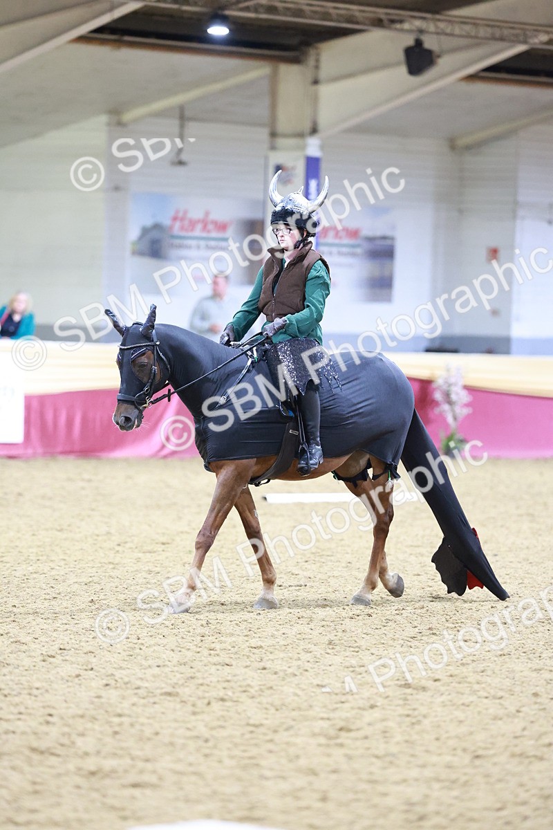 SBM_10376