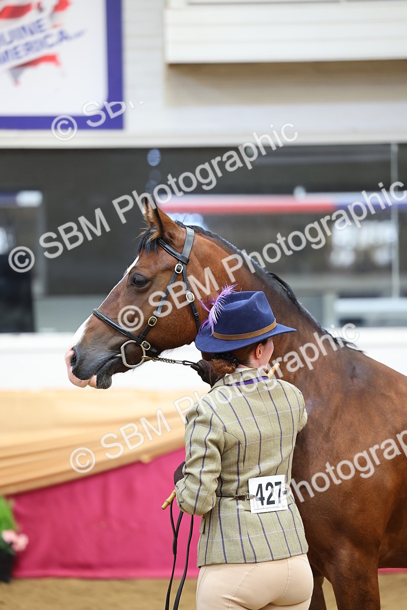 SBM_22876 - Class 903 - Supreme Final - IH Pre Vet