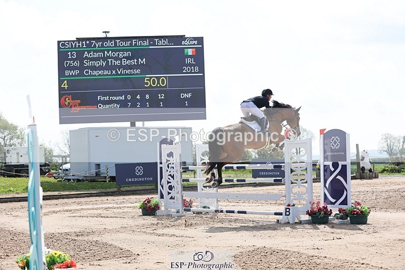 250427-110611-15800 - Cls 36 Young Horse 7yr old