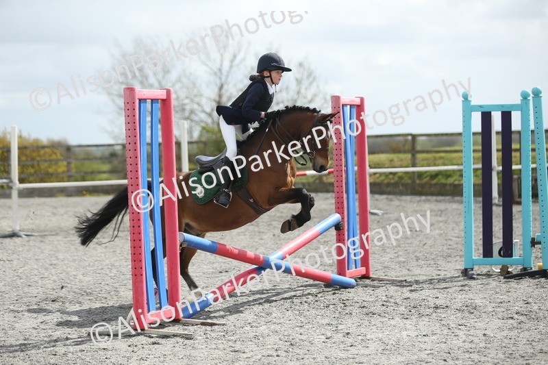 20260412-0752 - Show Jumping