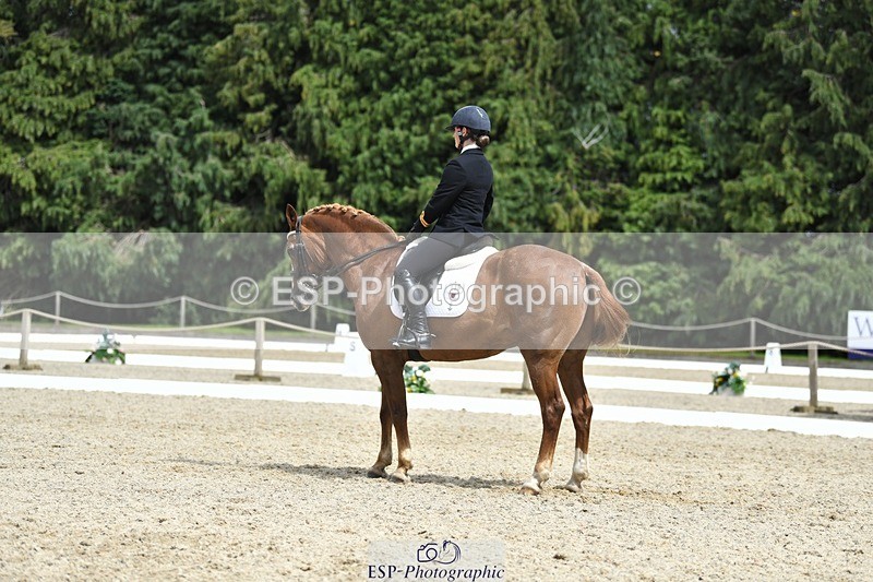 230812-142002-04674 - Cls 7 FEI PSG Bronze