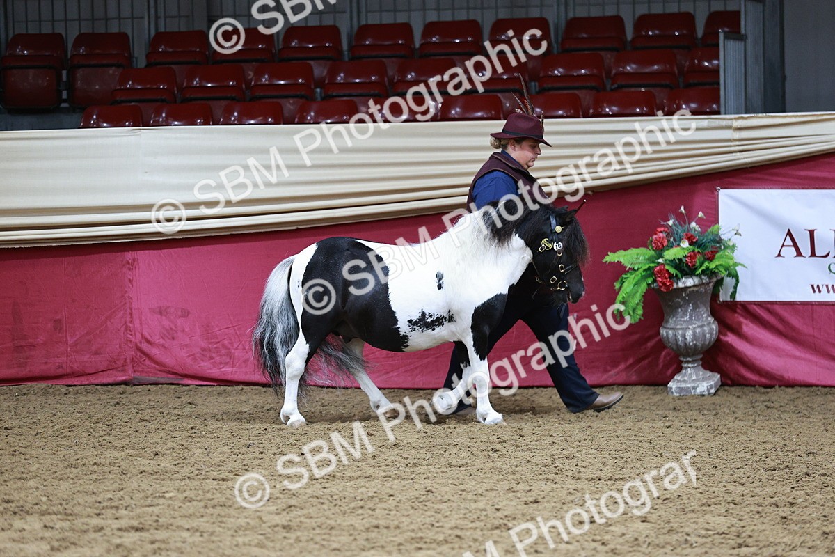 SBM_01133 - Class 3A - Area IH Pre-Vet