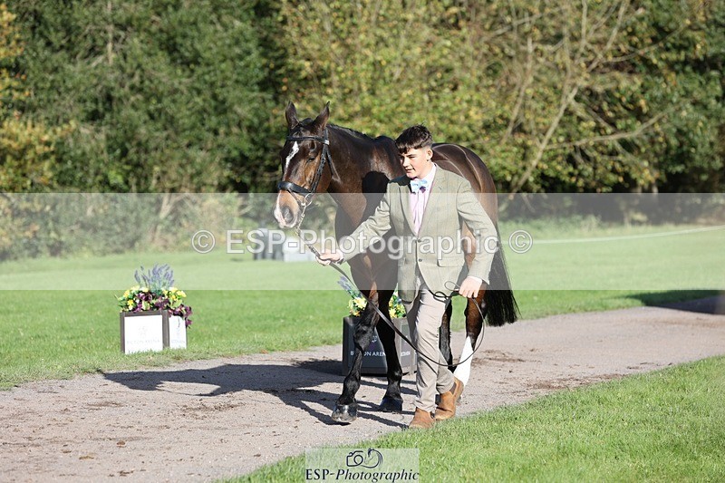 241027-100812-15711 - 406-Harvey.Crocker-THE.NIGHT.TRAVELLER