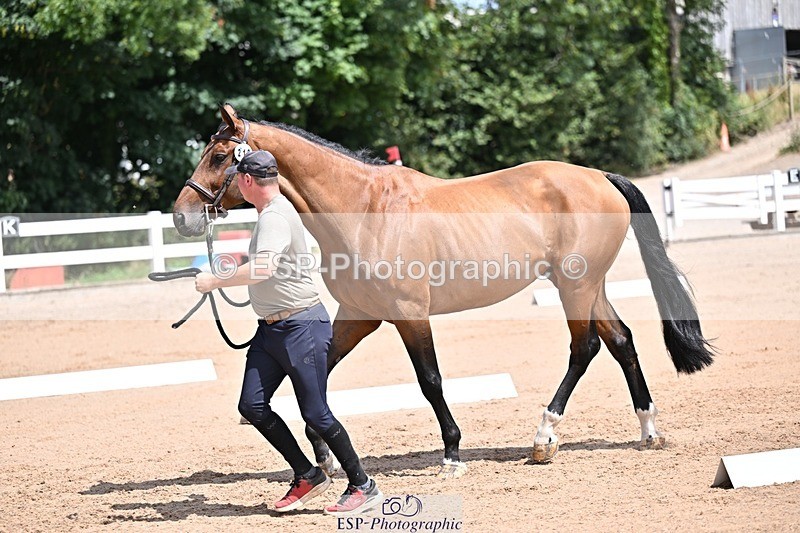 250716-125010-00197 - Trot Up 12.30 to 1.30