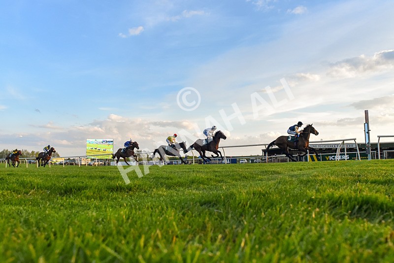 300424-Race 6-Kodi Lion-4252 - Race 6