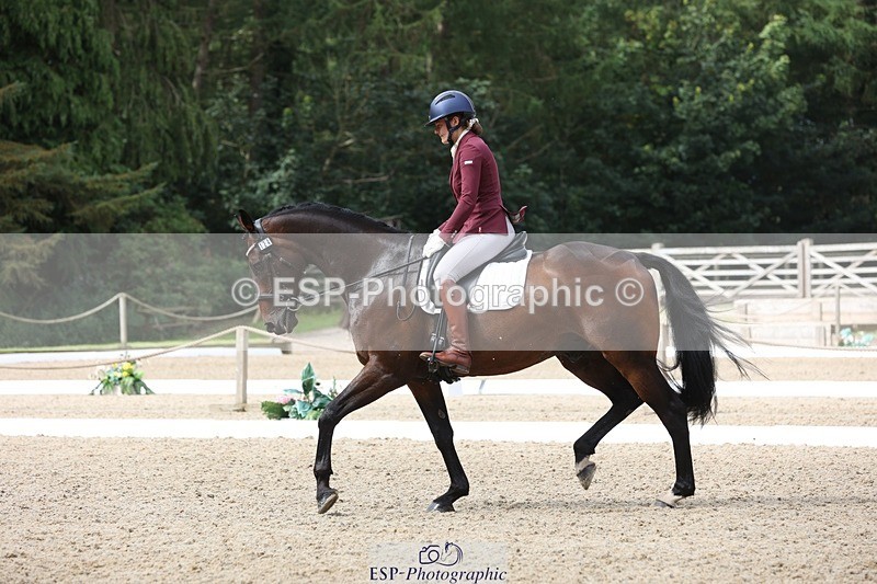 230812-104812-03359 - Cls 5 Novice Bronze Start to 10.55 break