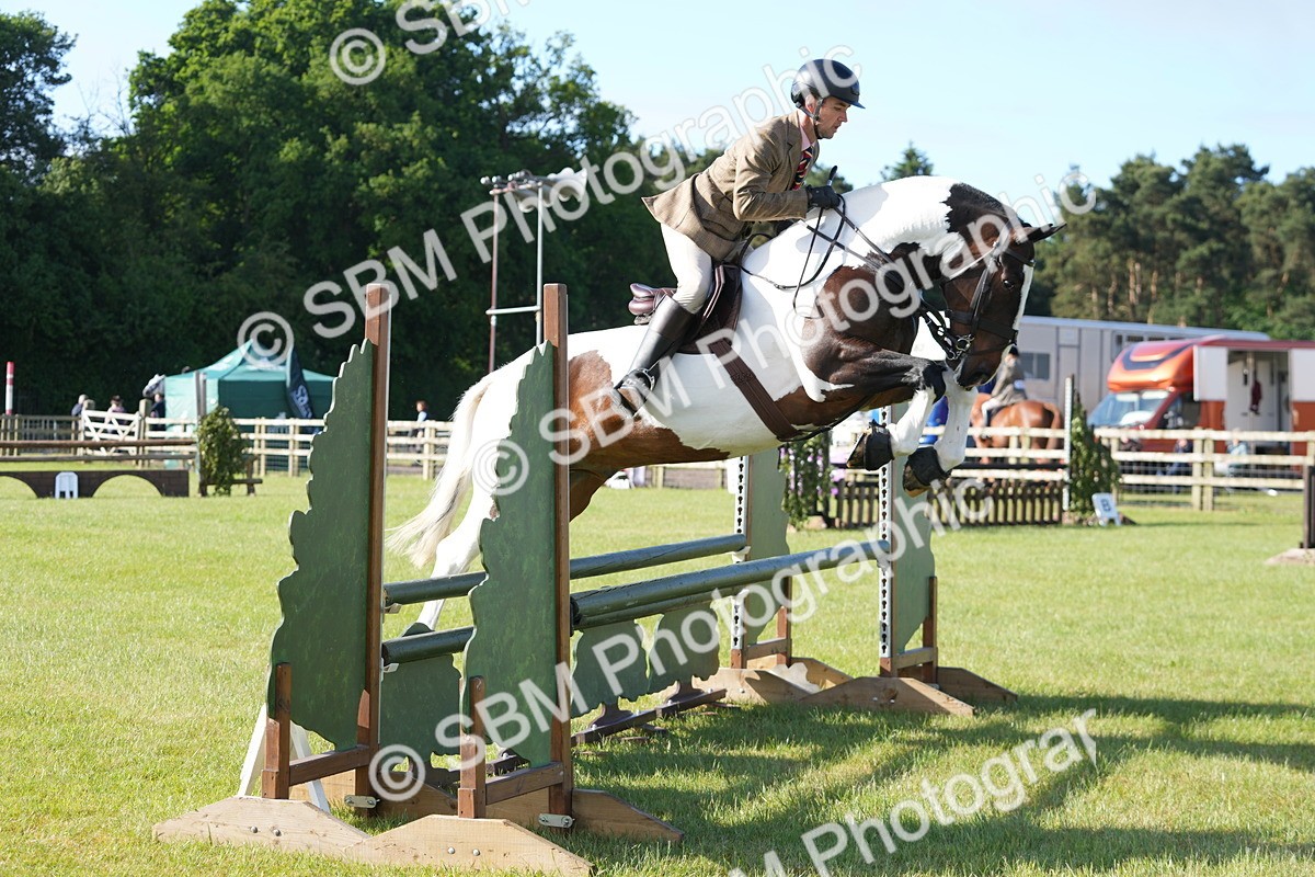 SBM_10537 - Class 97-98 - LIHS BSHA Rising Star Working Show Horse Hunter
