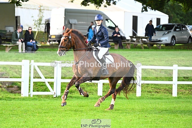 231020-112638-06485 - 110-MARTINS.IRISH.EDDIE-Allegra.Cowley-SJ