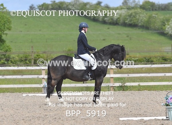 BPP_5919 - 21 E GRINDLAY